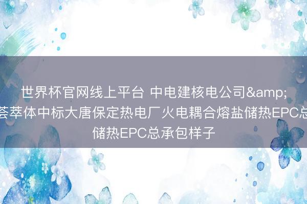 世界杯官网线上平台 中电建核电公司&上海电气荟萃体中标大唐保定热电厂火电耦合熔盐储热EPC总承包样子