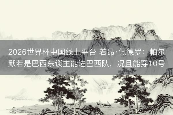 2026世界杯中国线上平台 若昂·佩德罗：帕尔默若是巴西东谈主能进巴西队，况且能穿10号