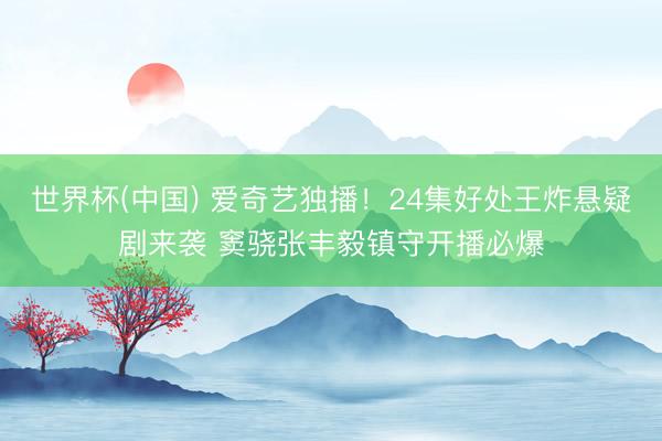 世界杯(中国) 爱奇艺独播!24集好处王炸悬疑剧来袭 窦骁张丰毅镇守开播必爆