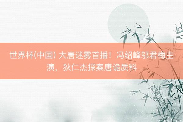 世界杯(中国) 大唐迷雾首播！冯绍峰邬君梅主演，狄仁杰探案唐诡质料