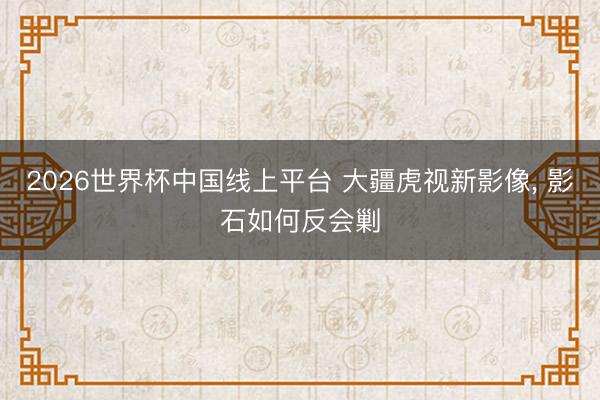 2026世界杯中国线上平台 大疆虎视新影像， 影石如何反会剿
