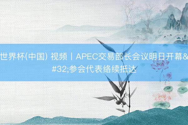 世界杯(中国) 视频丨APEC交易部长会议明日开幕 参会代表络续抵达