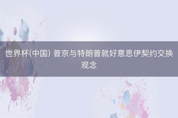 世界杯(中国) 普京与特朗普就好意思伊契约交换观念