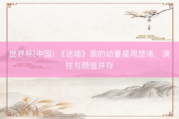 世界杯(中国) 《迷墙》里的幼童星周楚浠，演技与颜值并存