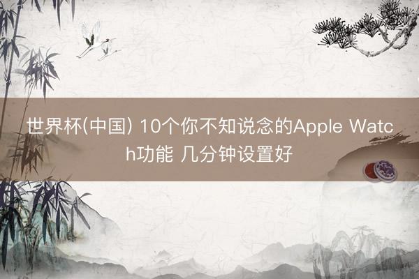 世界杯(中国) 10个你不知说念的Apple Watch功能 几分钟设置好